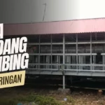 Biaya Kandang Kambing Baja Ringan Modern Per Meter