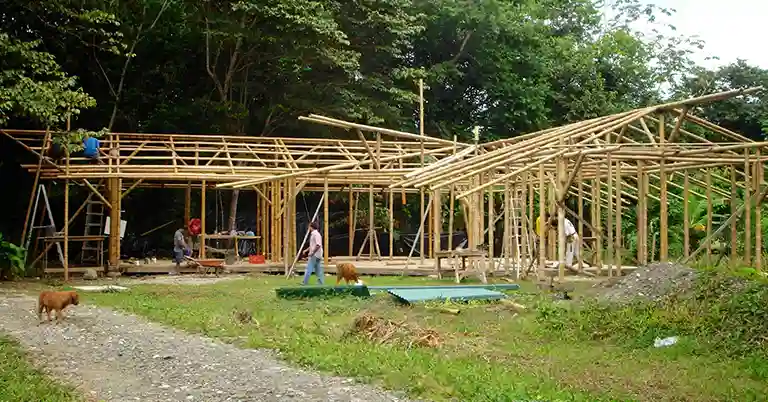 Proses Bikin Rumah Bambu Sederhana